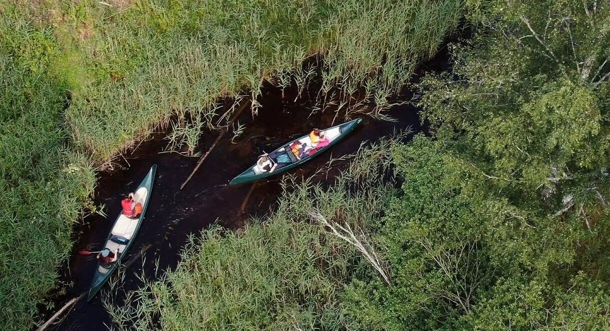 To kanoer på en tynn elv med masse gress, busker og trær rundt