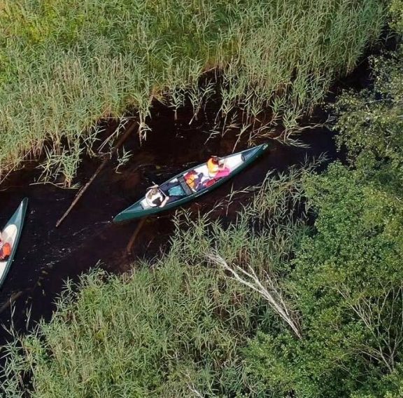 To kanoer på en tynn elv med masse gress, busker og trær rundt